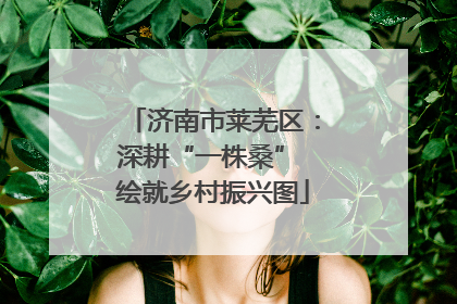 济南市莱芜区：深耕“一株桑” 绘就乡村振兴图