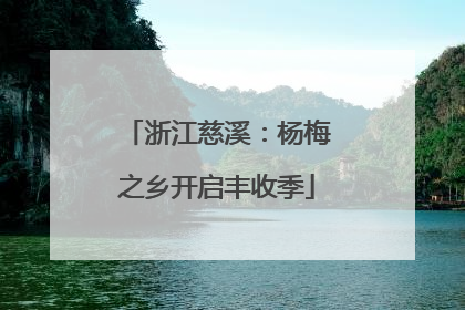 浙江慈溪：杨梅之乡开启丰收季