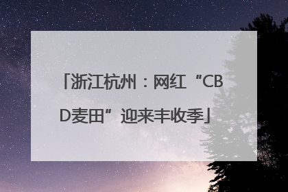 浙江杭州：网红“CBD麦田”迎来丰收季