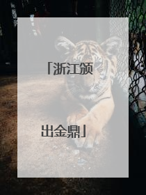 浙江颁出金鼎