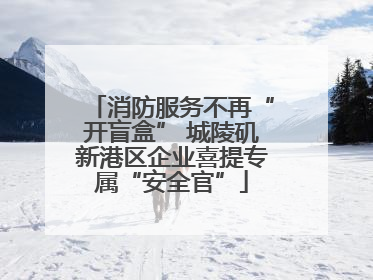 消防服务不再“开盲盒” 城陵矶新港区企业喜提专属“安全官”