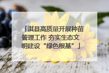 淇县高质量开展种苗管理工作 夯实生态文明建设“绿色根基”