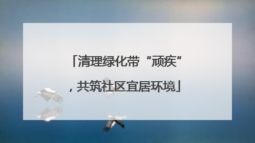 清理绿化带“顽疾”，共筑社区宜居环境