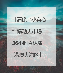 清徐“小菜心”撬动大市场 36小时直达粤港澳大湾区