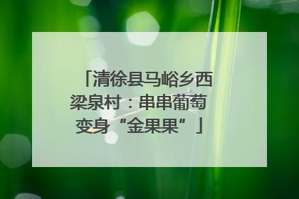 清徐县马峪乡西梁泉村：串串葡萄变身“金果果”