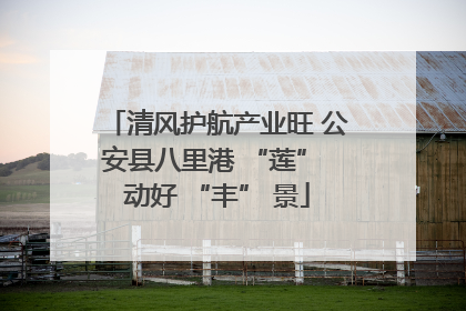 清风护航产业旺 公安县八里港 “莲” 动好 “丰” 景