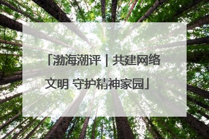 渤海潮评｜共建网络文明 守护精神家园