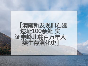 渭南新发现旧石器遗址100余处 实证秦岭北麓百万年人类生存演化史