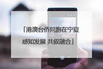 港澳台侨同胞在宁夏感知发展 共叙融合
