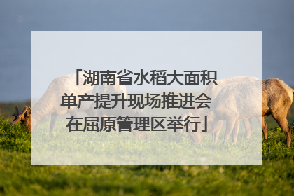湖南省水稻大面积单产提升现场推进会在屈原管理区举行
