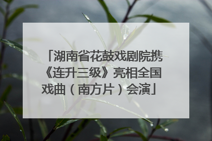 湖南省花鼓戏剧院携《连升三级》亮相全国戏曲（南方片）会演