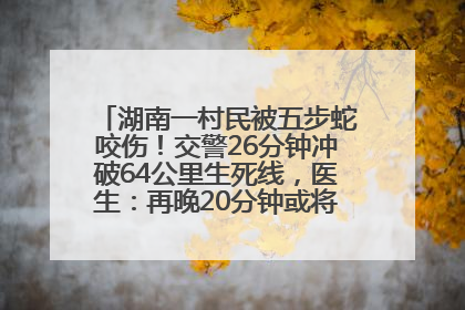 湖南一村民被五步蛇咬伤！交警26分钟冲破64公里生死线，医生：再晚20分钟或将呼吸肌麻痹