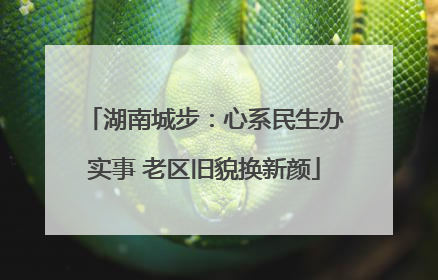 湖南城步：心系民生办实事 老区旧貌换新颜