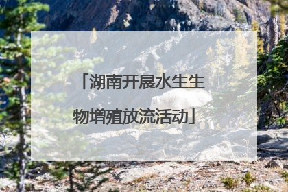 湖南开展水生生物增殖放流活动