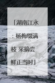 湖南江永：杨梅缀满枝 采摘尝鲜正当时