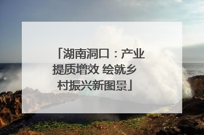 湖南洞口：产业提质增效 绘就乡村振兴新图景