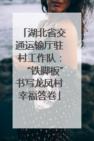 湖北省交通运输厅驻村工作队：“铁脚板”书写龙凤村幸福答卷