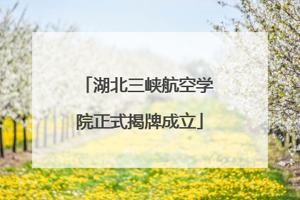 湖北三峡航空学院正式揭牌成立