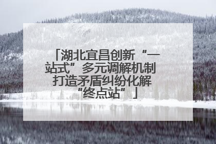 湖北宜昌创新“一站式”多元调解机制 打造矛盾纠纷化解“终点站”