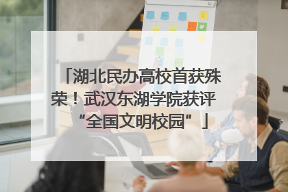 湖北民办高校首获殊荣！武汉东湖学院获评“全国文明校园”