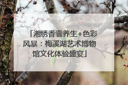 湘绣香囊养生+色彩风暴：梅溪湖艺术博物馆文化体验盛宴