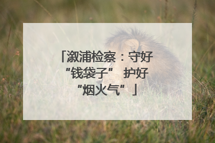 溆浦检察：守好“钱袋子” 护好“烟火气”