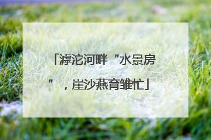 滹沱河畔“水景房”，崖沙燕育雏忙