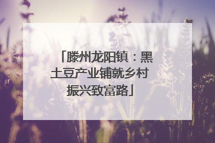 滕州龙阳镇：黑土豆产业铺就乡村振兴致富路