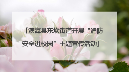 滨海县东坎街道开展“消防安全进校园”主题宣传活动