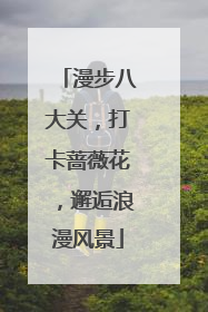 漫步八大关，打卡蔷薇花，邂逅浪漫风景