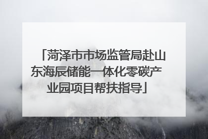 菏泽市市场监管局赴山东海辰储能一体化零碳产业园项目帮扶指导