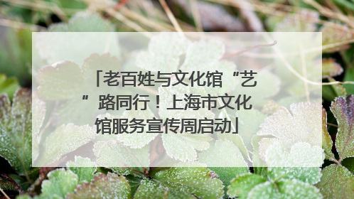 老百姓与文化馆“艺”路同行！上海市文化馆服务宣传周启动
