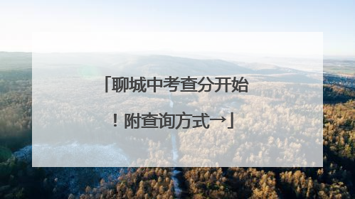 聊城中考查分开始！附查询方式→