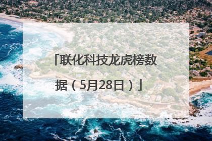 联化科技龙虎榜数据（5月28日）