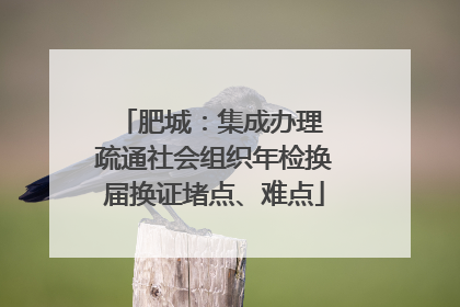 肥城：集成办理 疏通社会组织年检换届换证堵点、难点