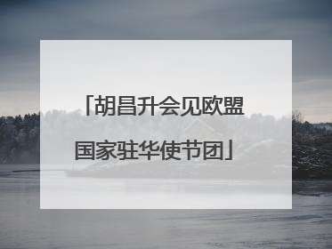胡昌升会见欧盟国家驻华使节团
