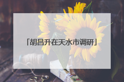 胡昌升在天水市调研