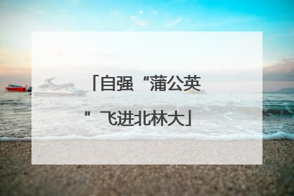 自强“蒲公英”飞进北林大