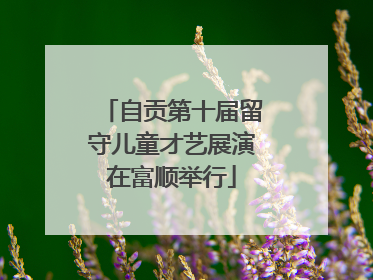 自贡第十届留守儿童才艺展演在富顺举行