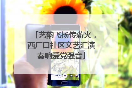 艺韵飞扬传薪火，西厂口社区文艺汇演奏响爱党强音
