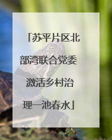 苏平片区北部湾联合党委 激活乡村治理一池春水