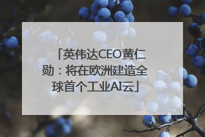英伟达CEO黄仁勋：将在欧洲建造全球首个工业AI云