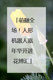 萌翻全场！人形机器人嘉年华开进花博汇