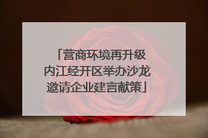 营商环境再升级 内江经开区举办沙龙邀请企业建言献策