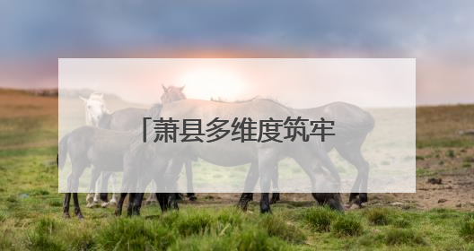 萧县多维度筑牢民生保障底线