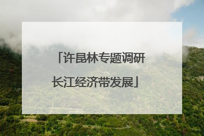 许昆林专题调研长江经济带发展