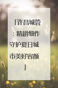 许昌城管：精耕细作守护夏日城市美好容颜