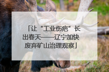 让“工业伤疤”长出春天——辽宁加快废弃矿山治理观察