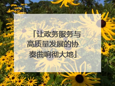 让政务服务与高质量发展的协奏曲响彻大地
