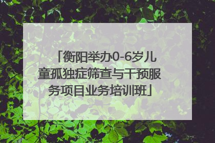 衡阳举办0-6岁儿童孤独症筛查与干预服务项目业务培训班